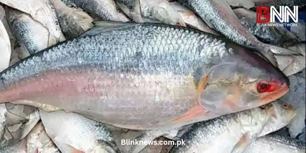 pakistan gets approval to export fish to russia