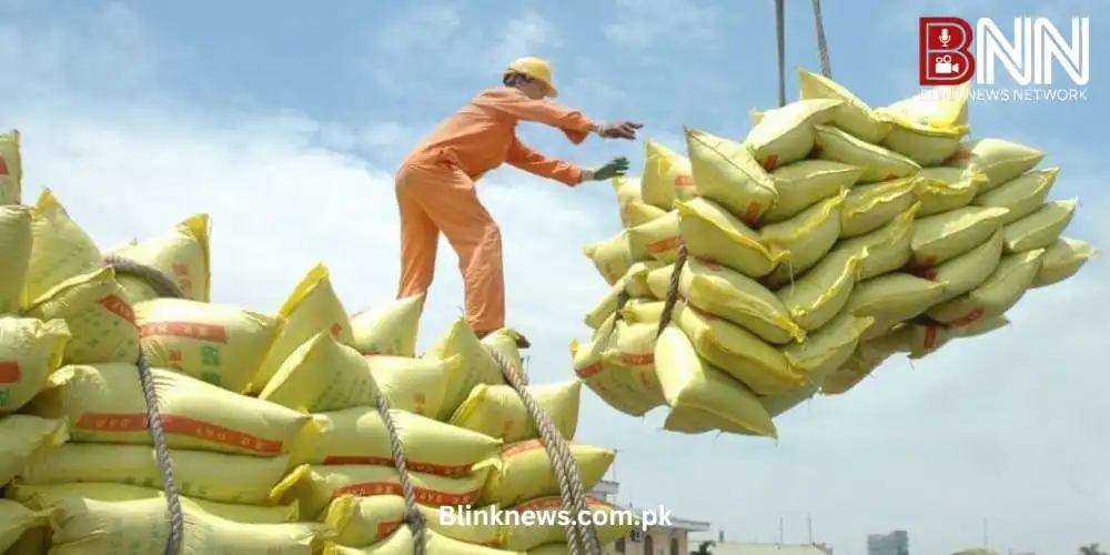 pakistan diversifies rice export strategy through new markets, trade routes