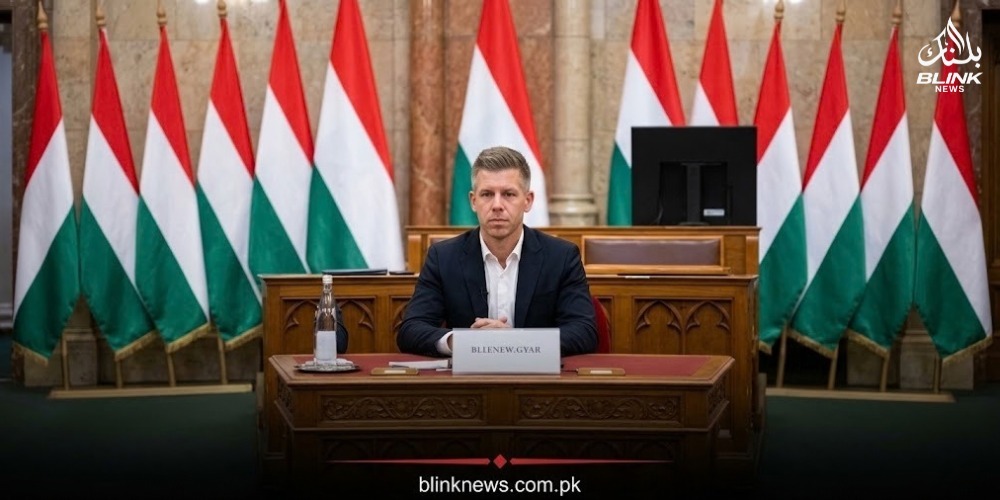 Hungarian citizen investigated over alleged mobile snatching and river incident